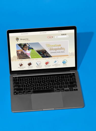 Screenshot of Website Showing the Gear Icon for Accessibility