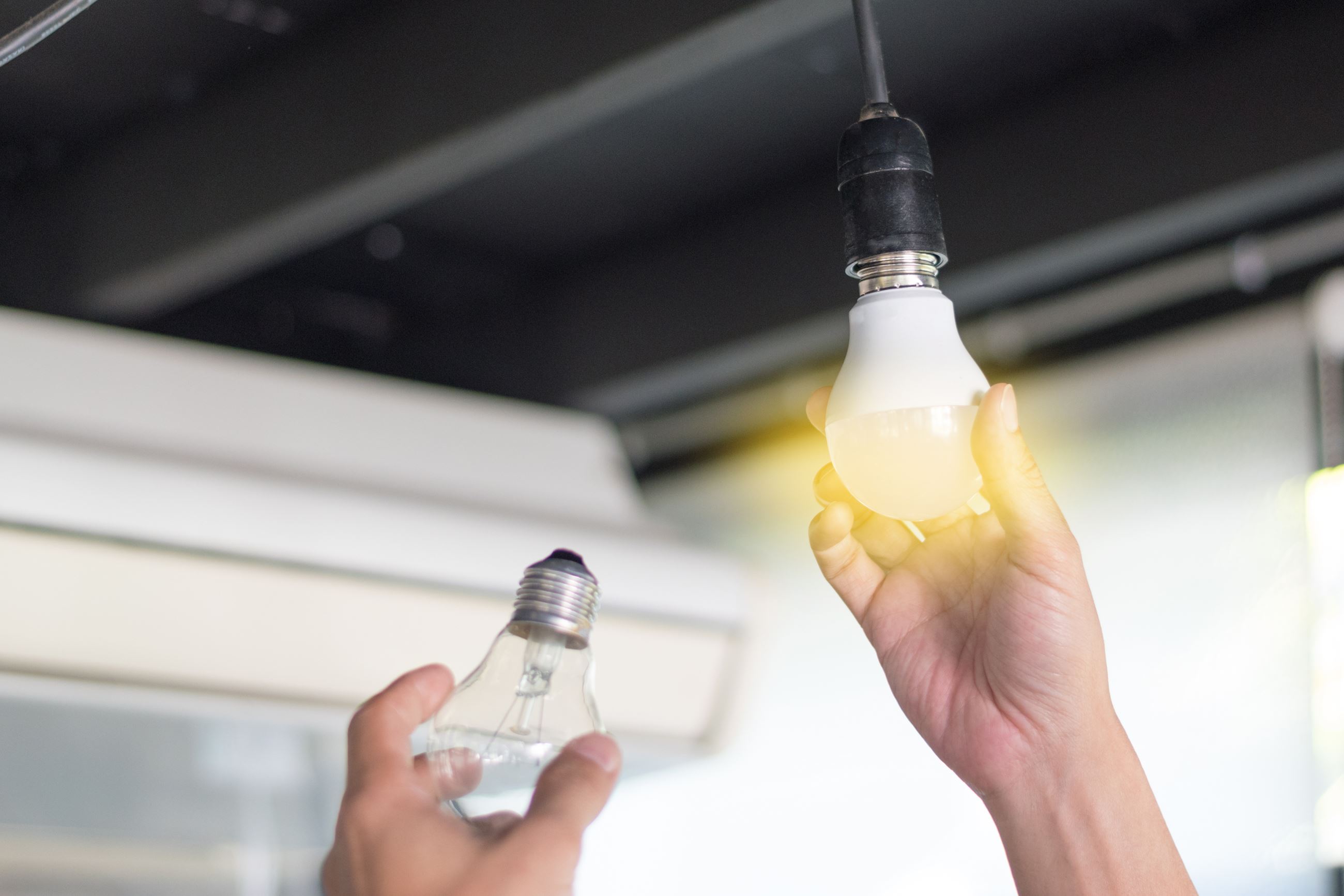 Energy Efficient Light Bulb Replacement