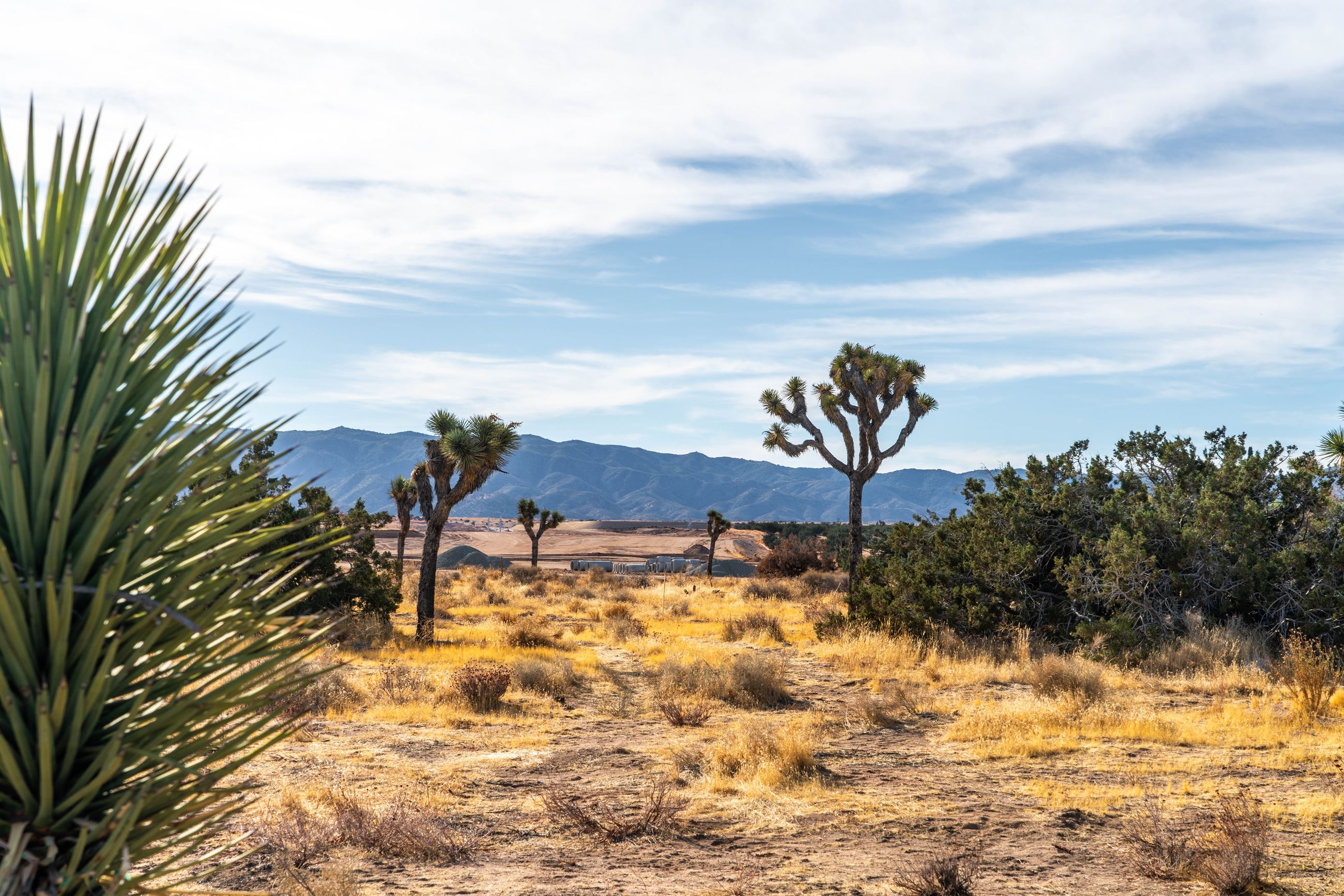 Scenic Image of Hesperia 